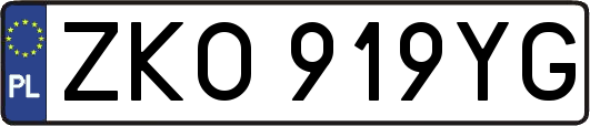 ZKO919YG