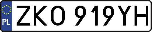 ZKO919YH