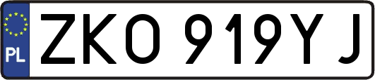 ZKO919YJ