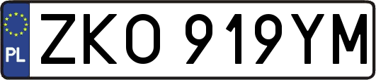 ZKO919YM