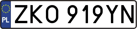 ZKO919YN