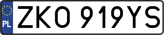 ZKO919YS