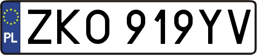 ZKO919YV