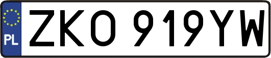 ZKO919YW