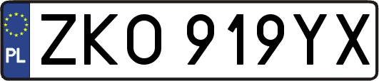 ZKO919YX