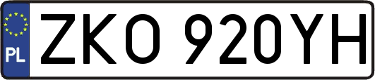 ZKO920YH