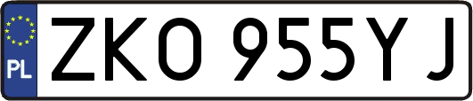 ZKO955YJ