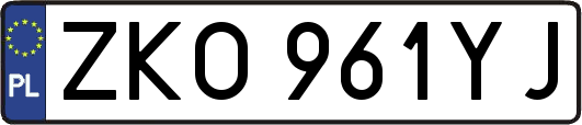ZKO961YJ