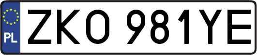 ZKO981YE