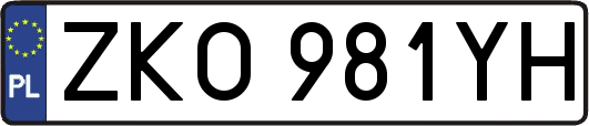 ZKO981YH
