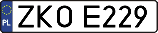 ZKOE229