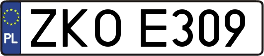 ZKOE309
