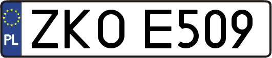 ZKOE509