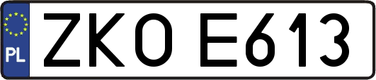 ZKOE613
