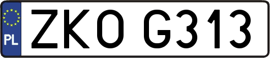 ZKOG313