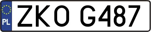 ZKOG487