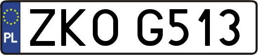 ZKOG513