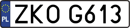 ZKOG613
