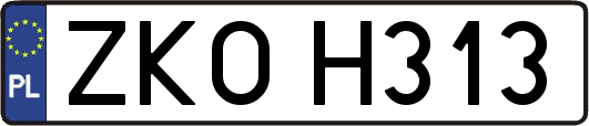 ZKOH313