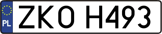 ZKOH493