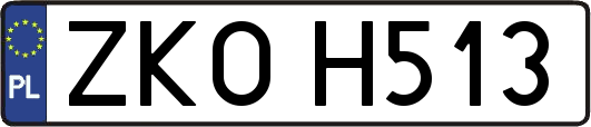 ZKOH513