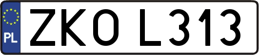 ZKOL313