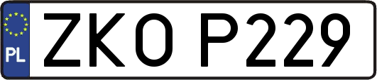 ZKOP229
