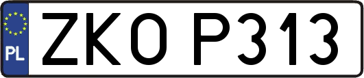 ZKOP313