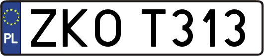 ZKOT313