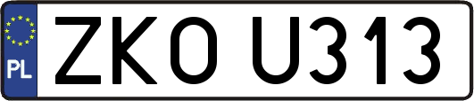 ZKOU313