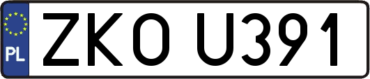 ZKOU391