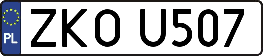 ZKOU507