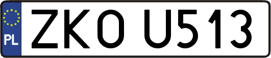 ZKOU513