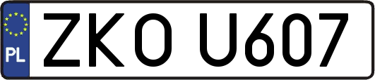 ZKOU607