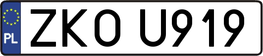 ZKOU919