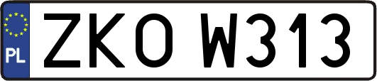 ZKOW313