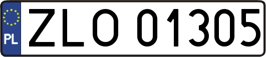 ZLO01305