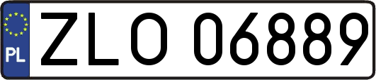 ZLO06889