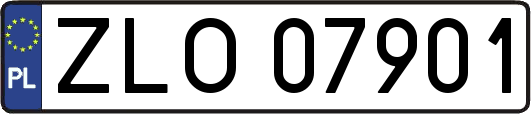 ZLO07901
