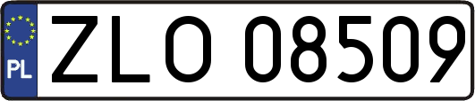 ZLO08509