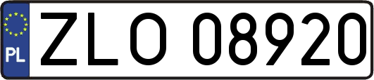 ZLO08920