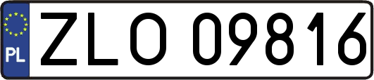 ZLO09816