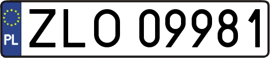 ZLO09981