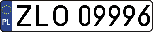 ZLO09996