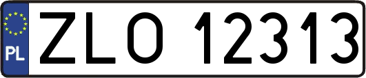 ZLO12313