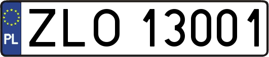 ZLO13001