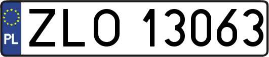 ZLO13063