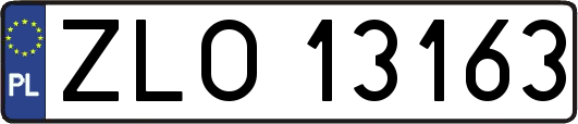 ZLO13163