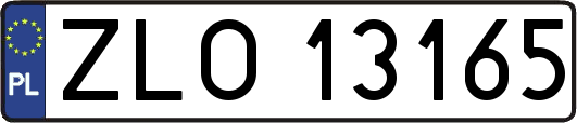 ZLO13165