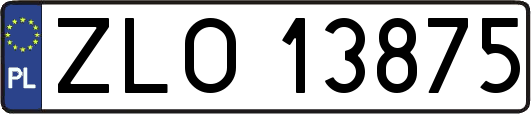 ZLO13875